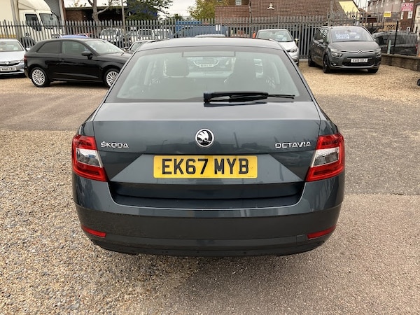 Used Skoda Octavia 2017 for sale - 76237182: Photo 7