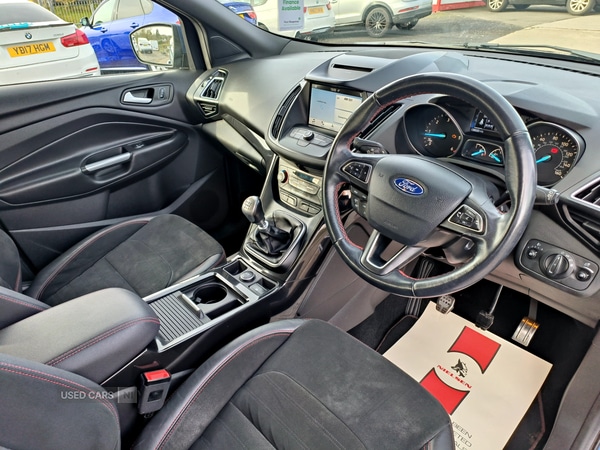 Used Ford Kuga 2019 for sale - 77469627: Photo 13