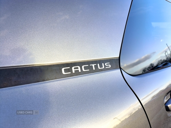 Used Citroen C4 Cactus 2019 for sale - 77613364: Photo 12