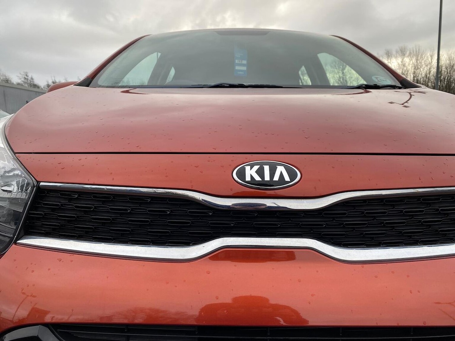 Used Kia Picanto 2018 for sale - 77073192: Photo 34