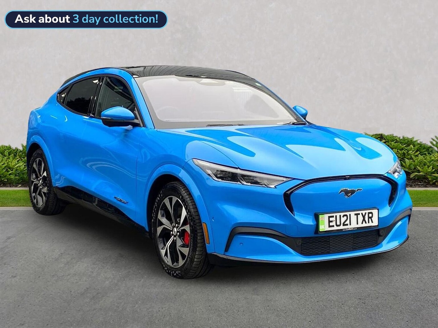 Used Ford Mustang Mach-E 2021 for sale - 76391772: Photo 1