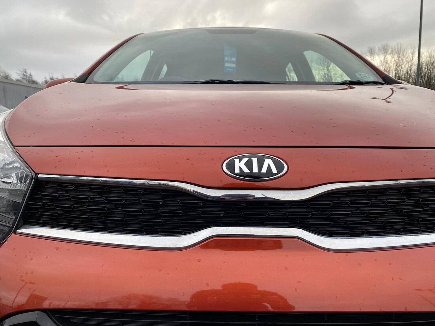 Used Kia Picanto 2018 for sale - 77528918: Photo 32