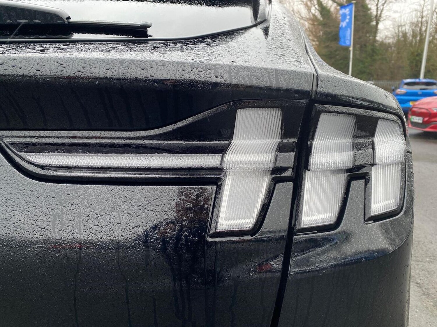 Used Ford Mustang Mach-E 2023 for sale - 77488937: Photo 36