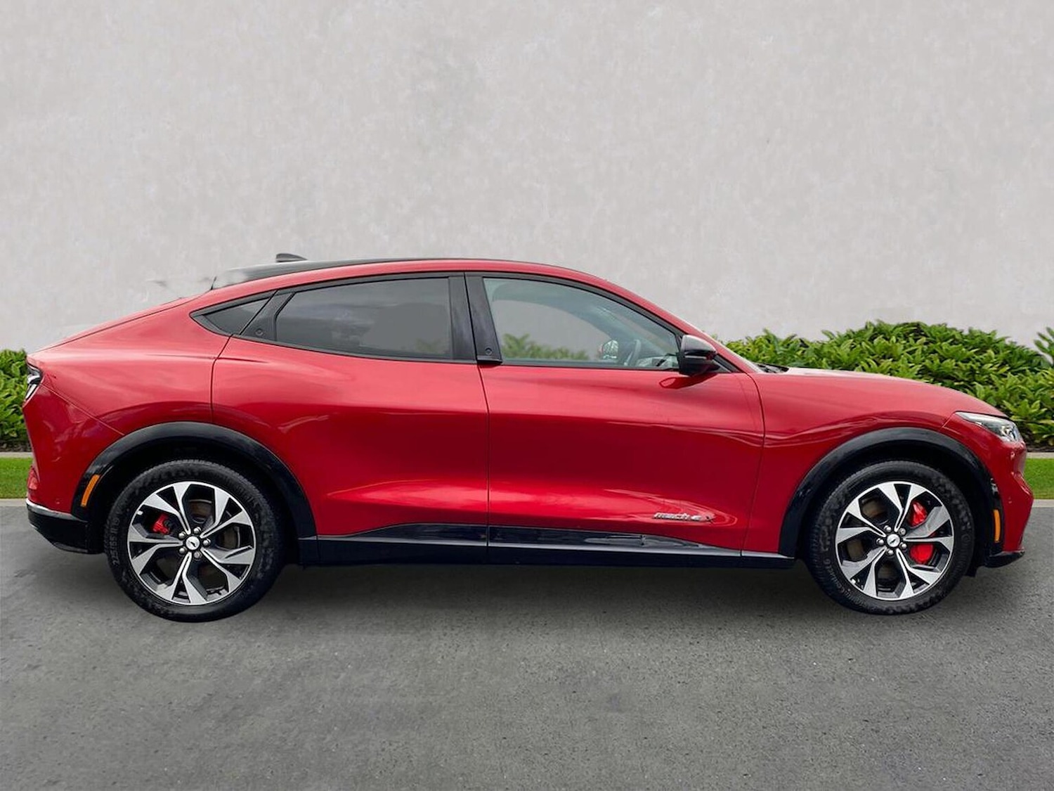 Used Ford Mustang Mach-E 2024 for sale - 77488914: Photo 5