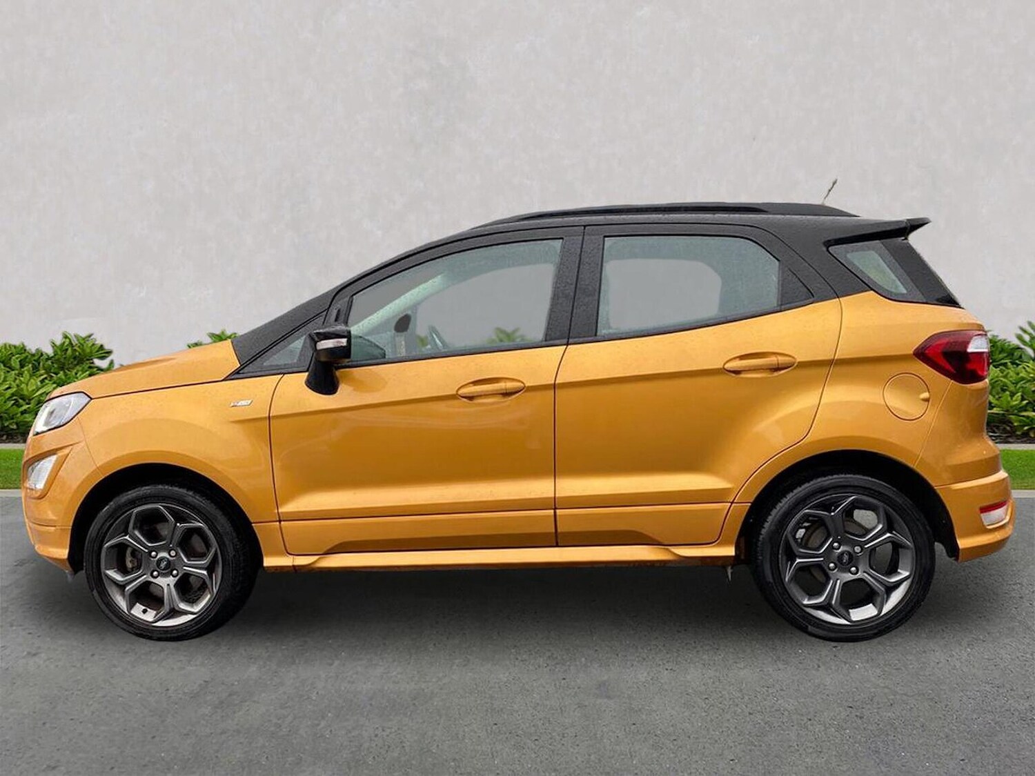Used Ford Ecosport 2019 for sale - 76542999: Photo 19
