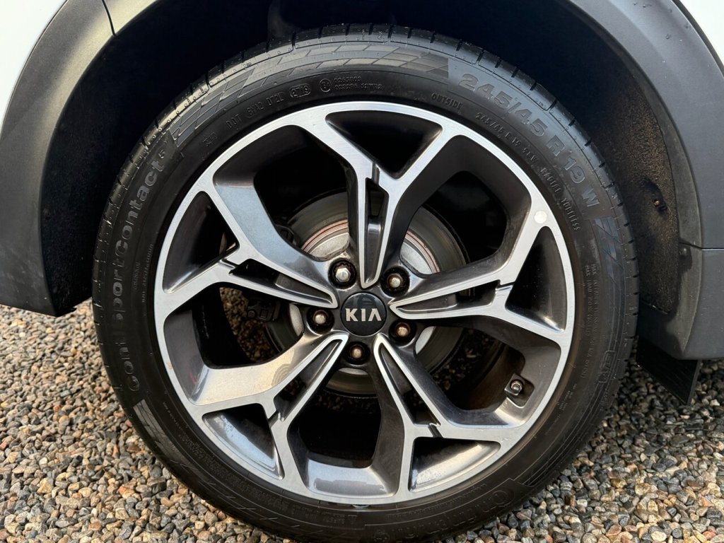 Used Kia Sportage 2019 for sale - 77038338: Photo 5