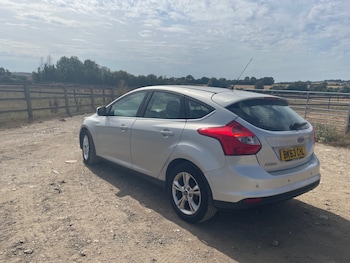 Used Ford Focus 2013 for sale - 79473737: Photo