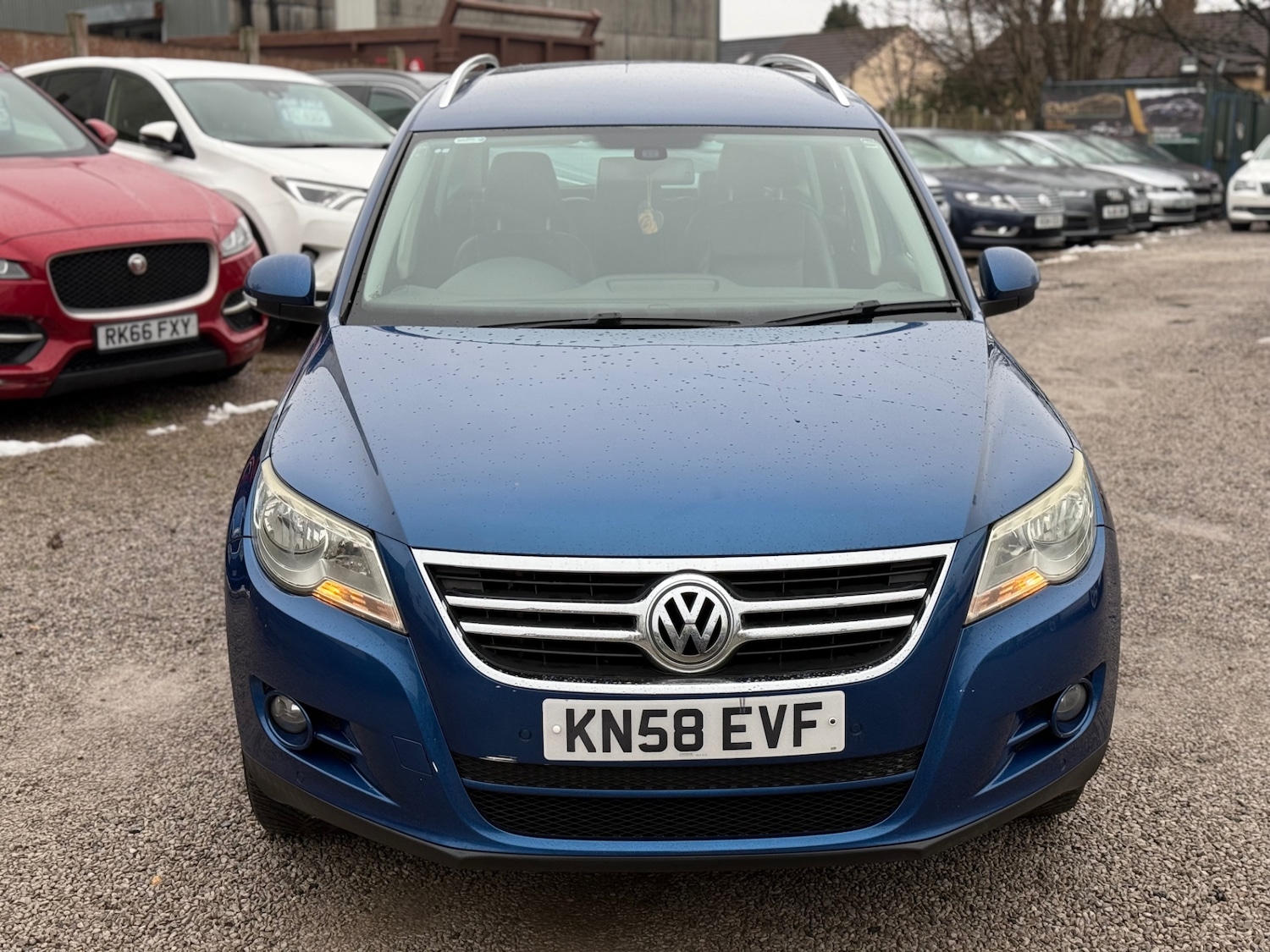 Used Volkswagen Tiguan 2008 for sale - 77165152: Photo 11