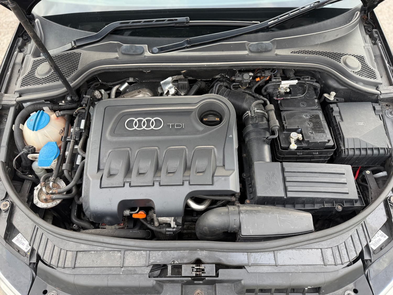 Used Audi A3 2012 for sale - 77556717: Photo 42