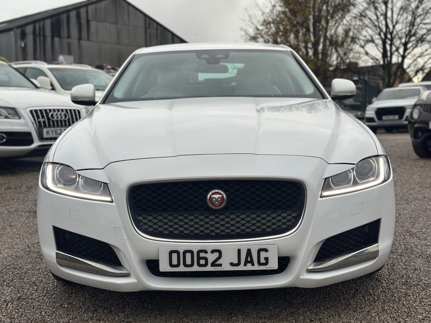 Used Jaguar XF 2016 for sale - 76533652: Photo 11