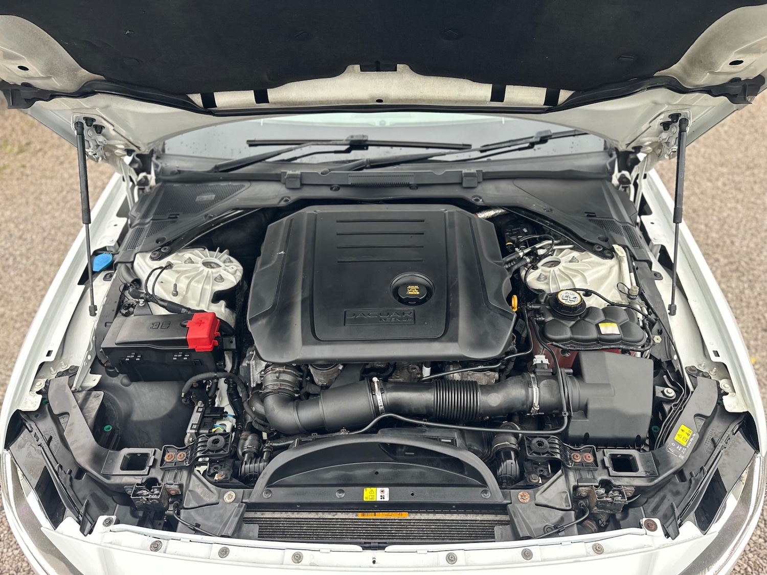 Used Jaguar XF 2016 for sale - 76533652: Photo 61