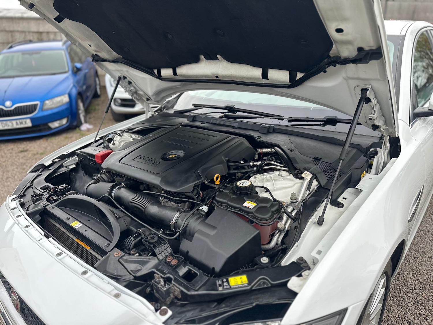 Used Jaguar XF 2016 for sale - 76533652: Photo 63