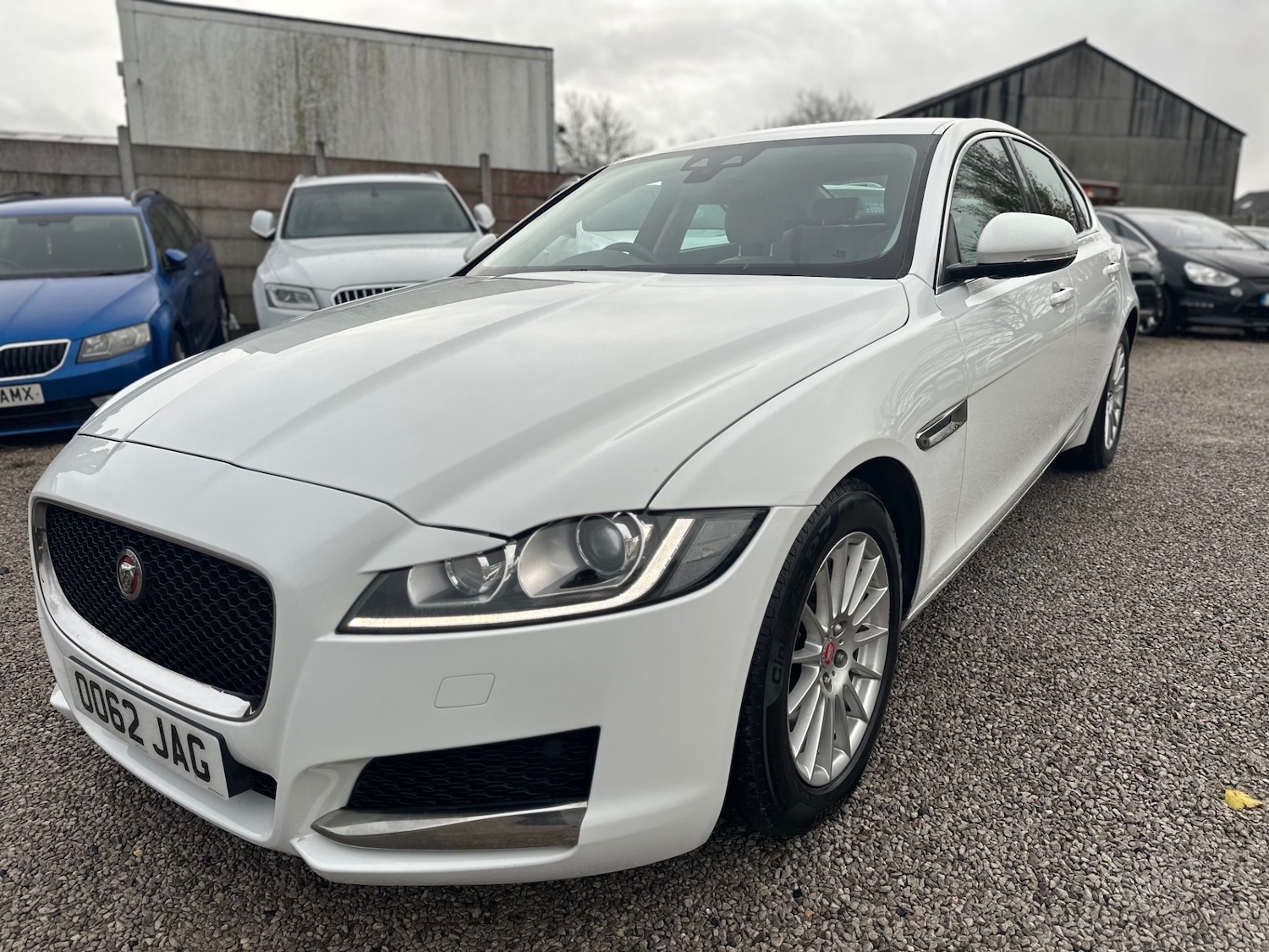 Used Jaguar XF 2016 for sale - 76533652: Photo 9
