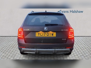 Used Skoda Octavia 2017 for sale - 77648783: Photo