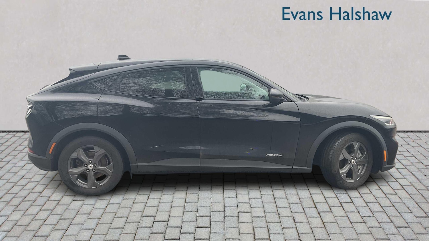 Used Ford Mustang Mach-E 2022 for sale - 77373671: Photo 3