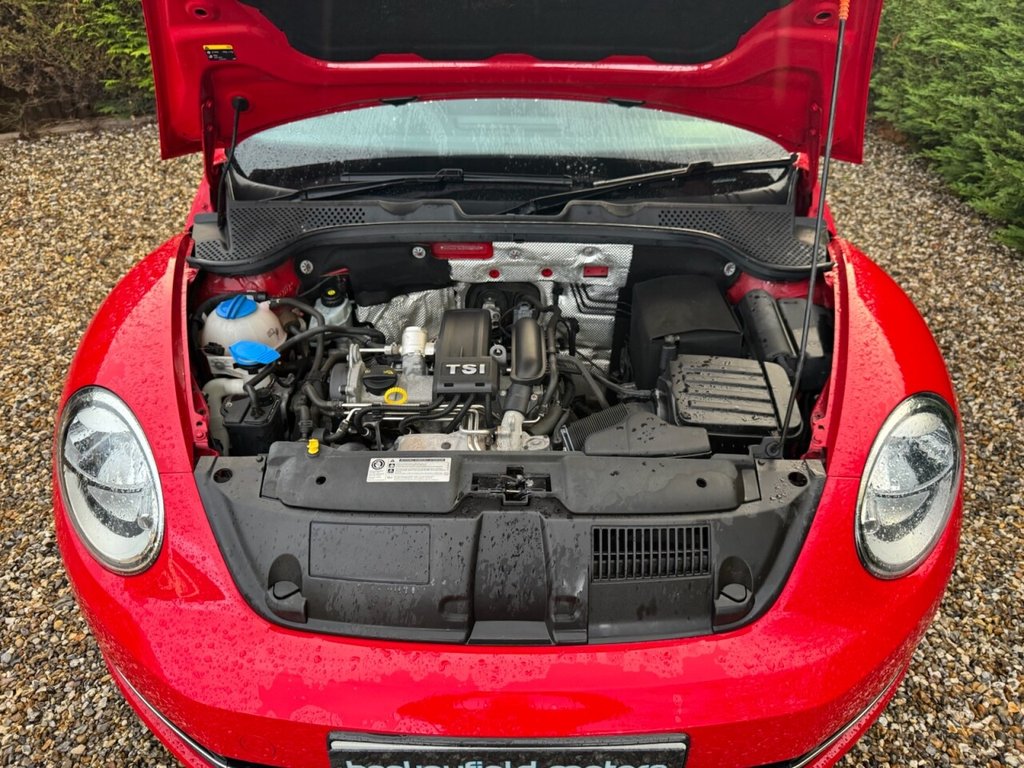 Used Volkswagen Beetle 2014 for sale - 76430011: Photo 11