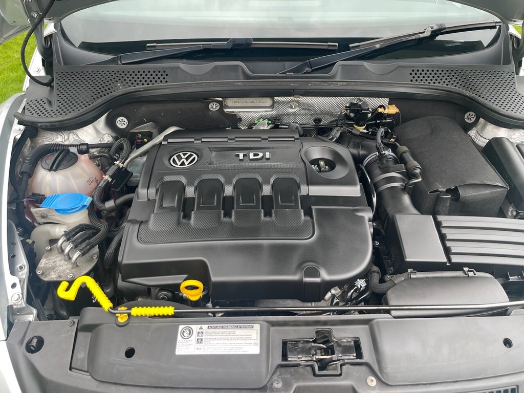 Used Volkswagen Beetle 2016 for sale - 76631716: Photo 11