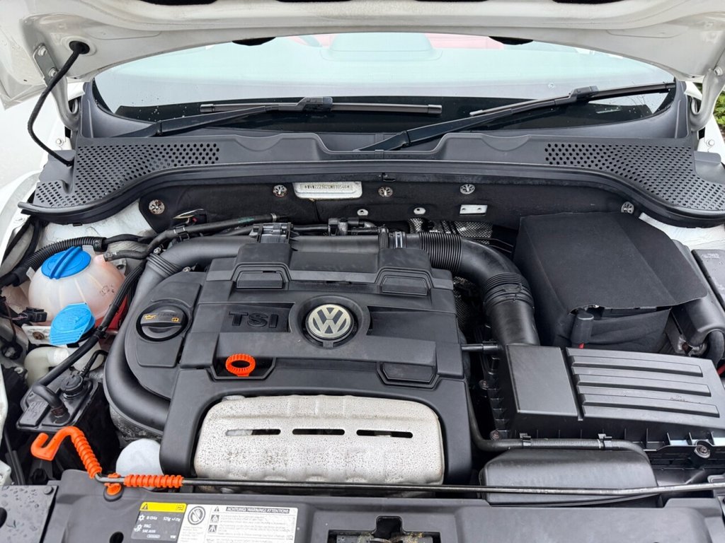 Used Volkswagen Beetle 2013 for sale - 77703776: Photo 15