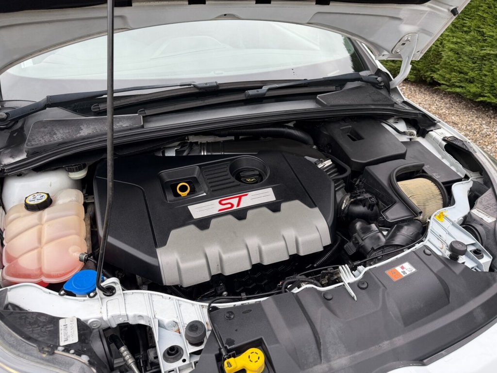 Used Ford Focus 2013 for sale - 77780397: Photo 11