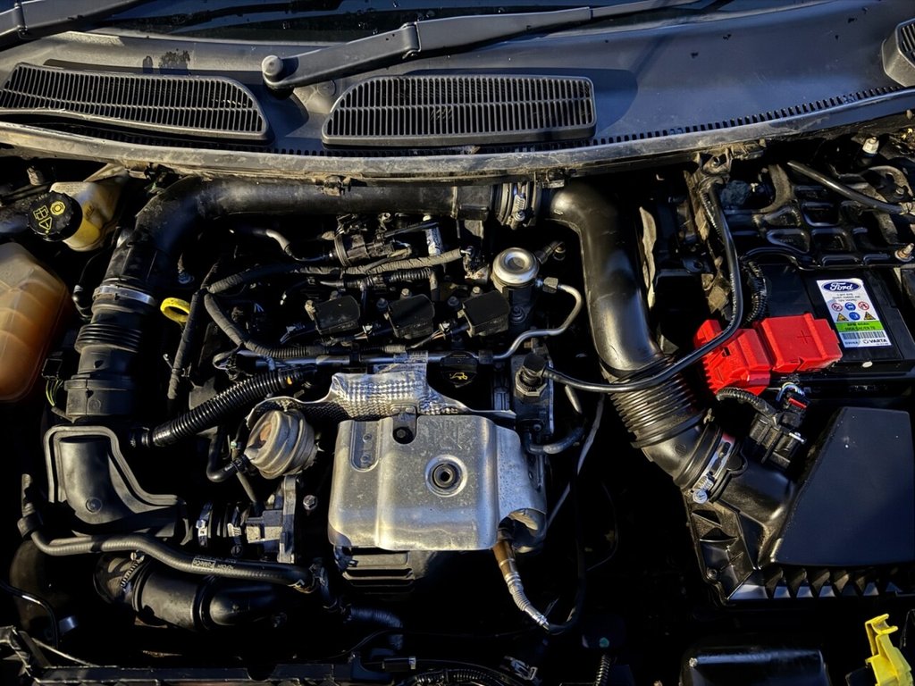 Used Ford Fiesta 2017 for sale - 76711538: Photo 23