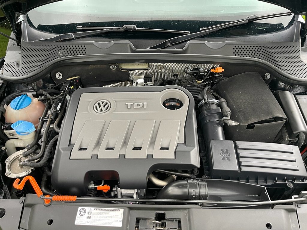 Used Volkswagen Beetle 2013 for sale - 76535573: Photo 16