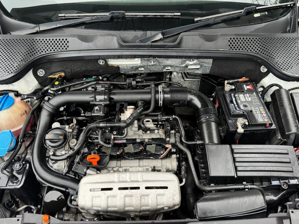 Used Volkswagen Beetle 2012 for sale - 77521301: Photo 15