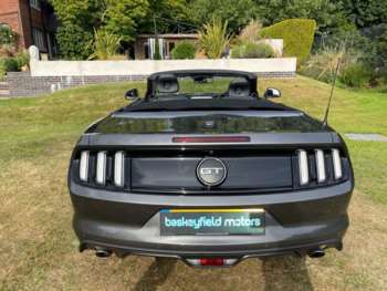 Used Ford Mustang 2017 for sale - 74752676: Photo