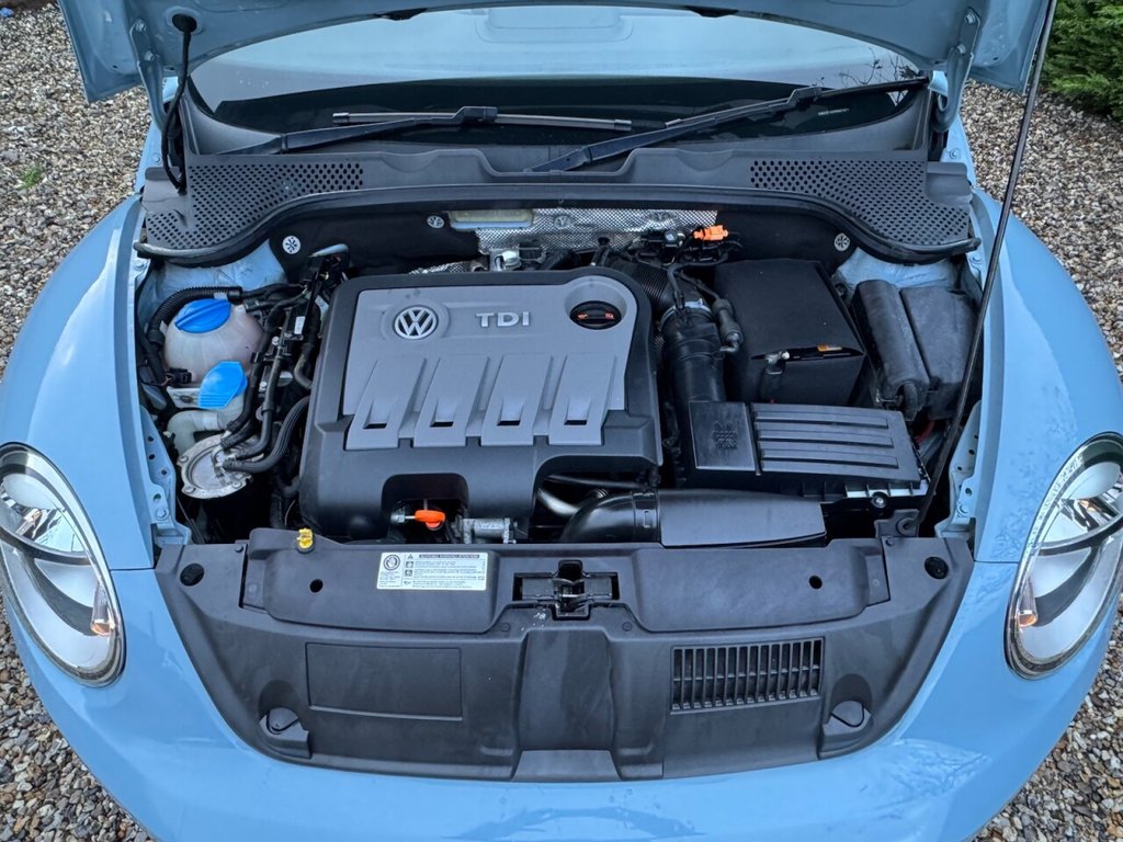 Used Volkswagen Beetle 2013 for sale - 77302693: Photo 10