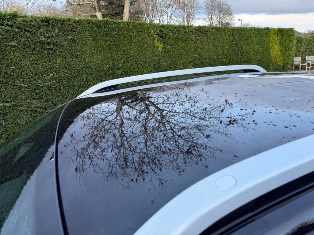 Used Ford Ranger 2023 for sale - 77140209: Photo 32