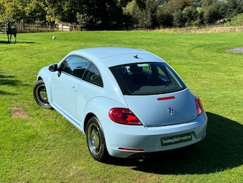 Used Volkswagen Beetle 2016 for sale - 76023684: Photo