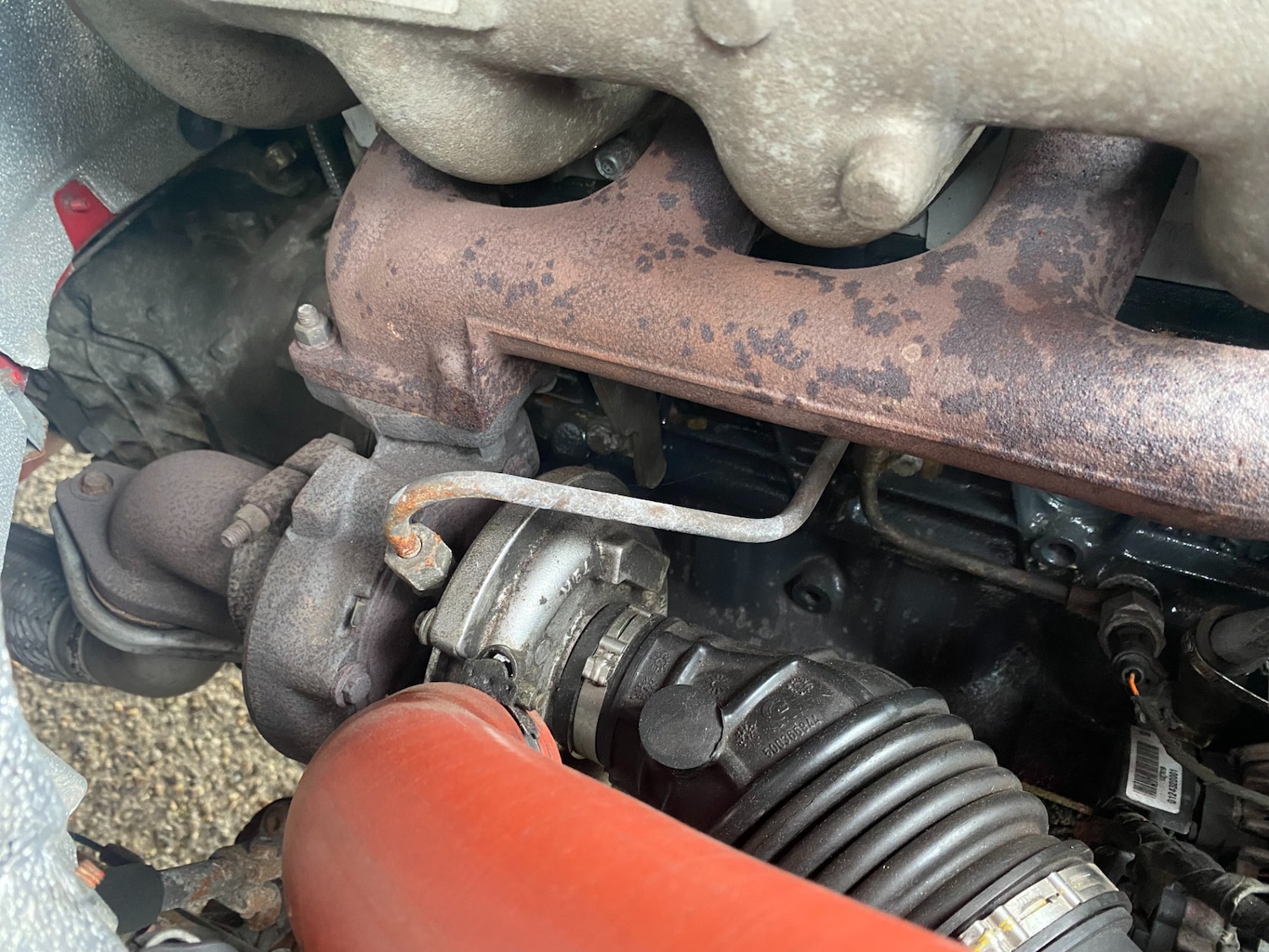 Used Iveco Daily 2003 for sale - 76671152: Photo 61