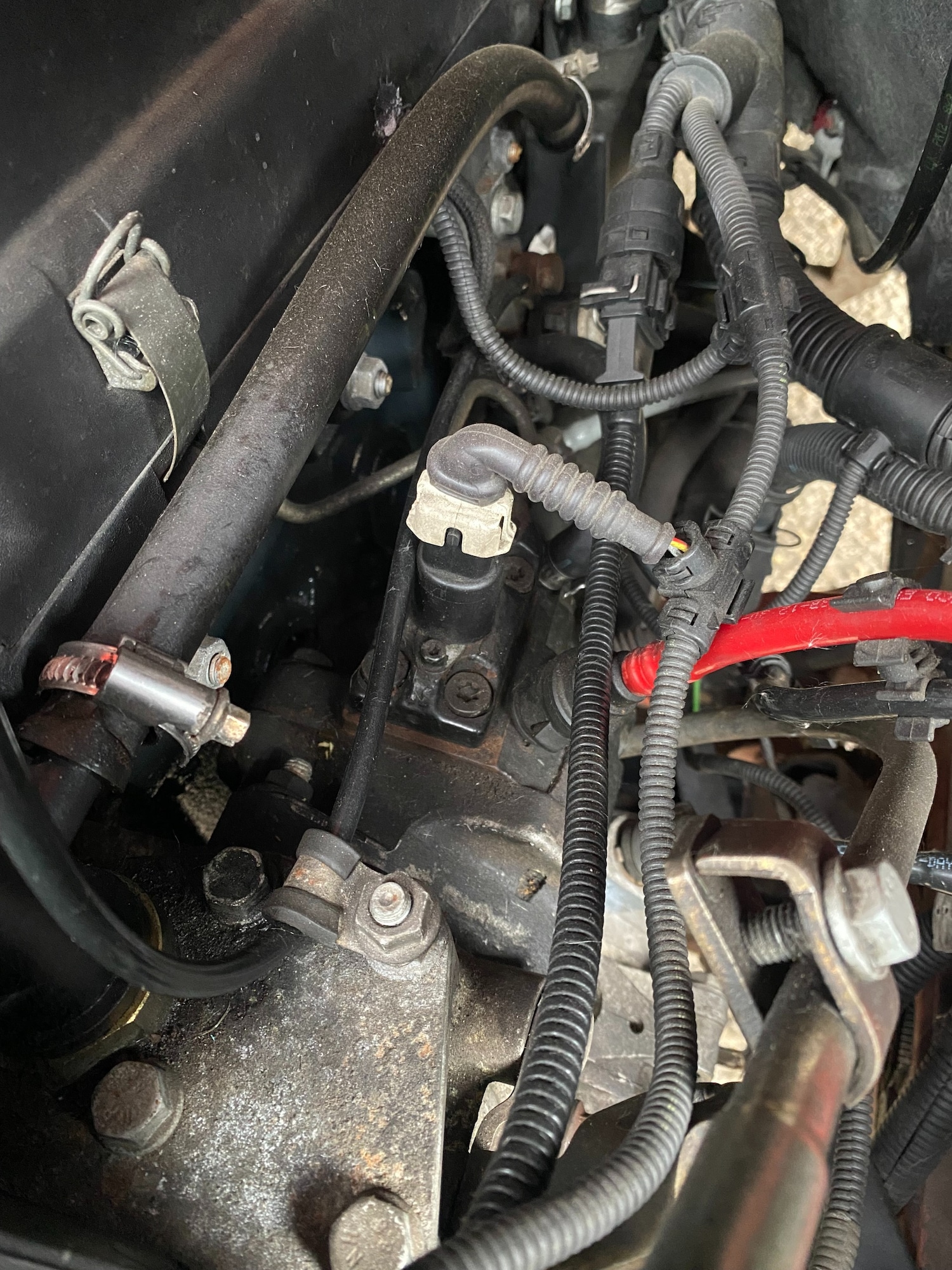 Used Iveco Daily 2003 for sale - 76671152: Photo 67