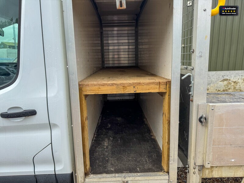 Used Ford Transit 2023 for sale - 77041696: Photo 13