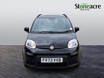 Used Fiat Panda 2024 for sale - 79820611: Photo