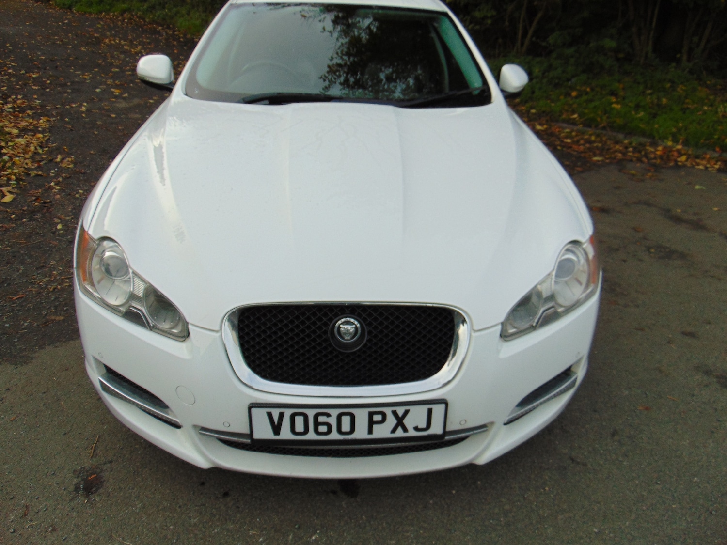 Used Jaguar XF 2010 for sale - 76311731: Photo 6