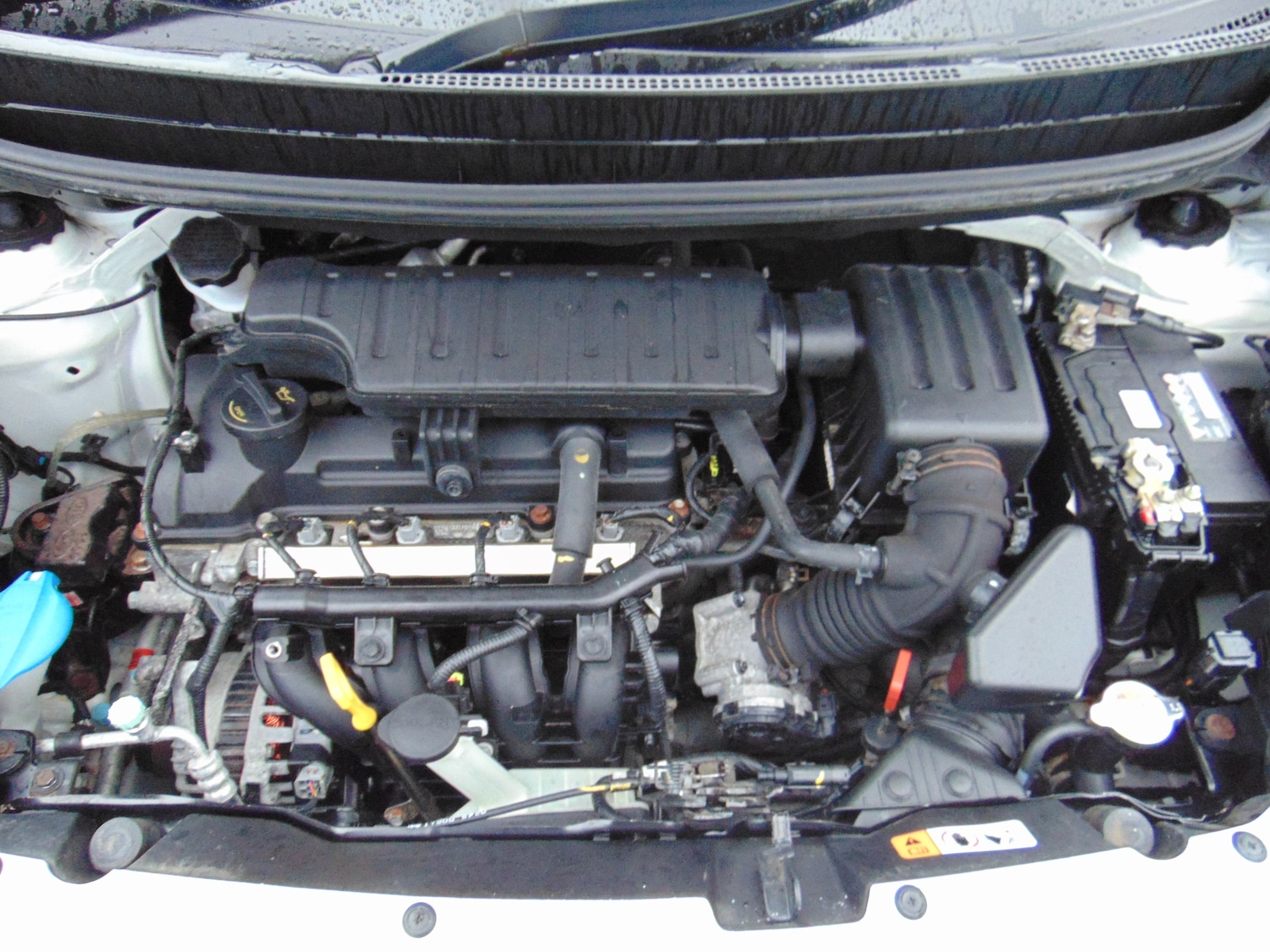 Used Kia Picanto 2017 for sale - 76961871: Photo 8