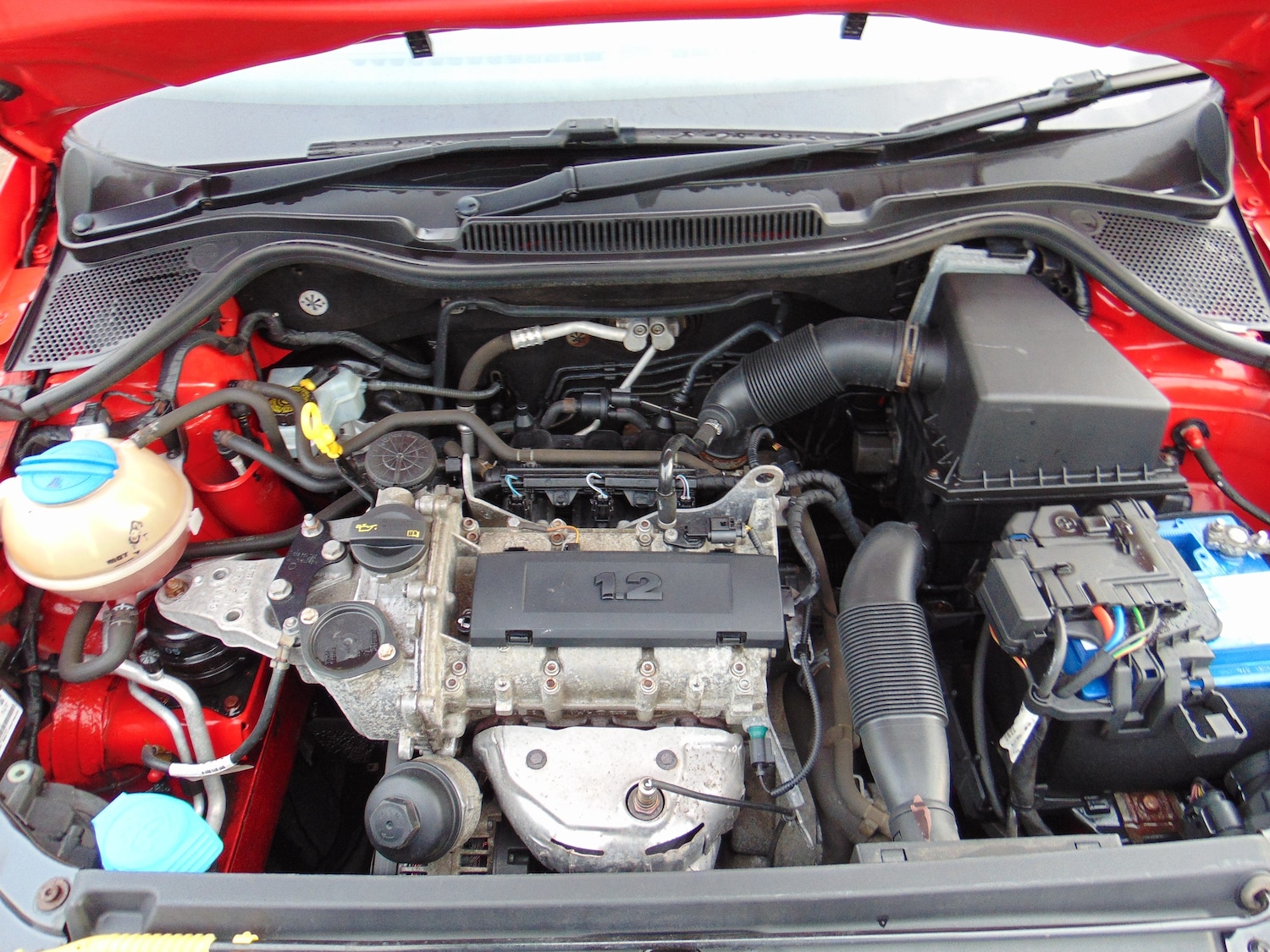 Used Volkswagen Polo 2014 for sale - 76830832: Photo 8