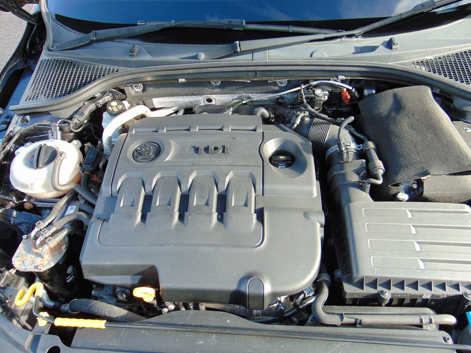 Used Skoda Octavia 2015 for sale - 76405825: Photo 8