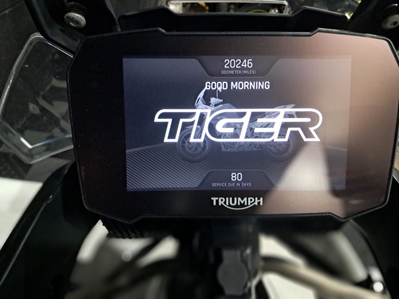 Used Triumph TIGER 900 for sale - 78435029: Photo 23