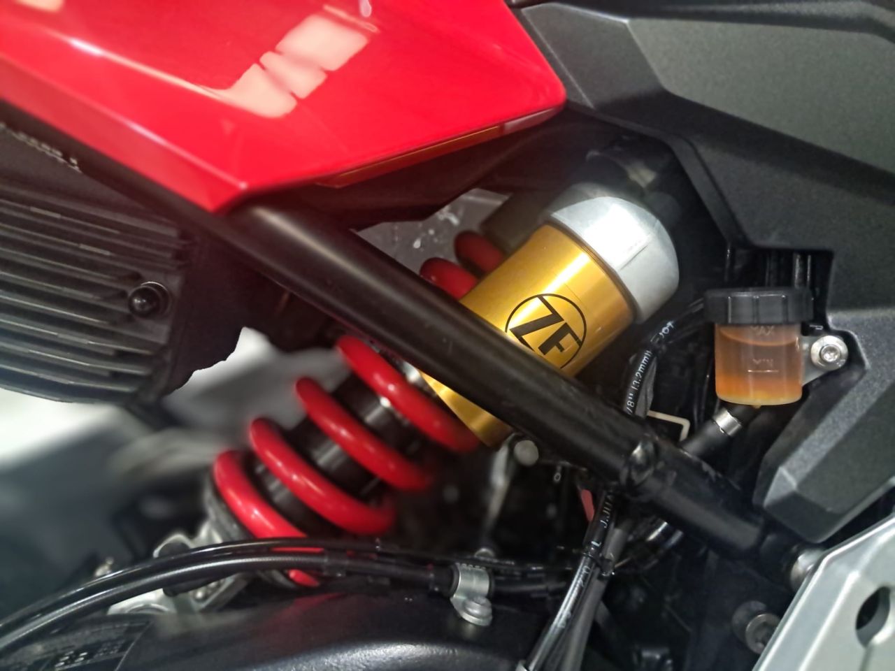 Used BMW F900XR for sale - 78435050: Photo 23