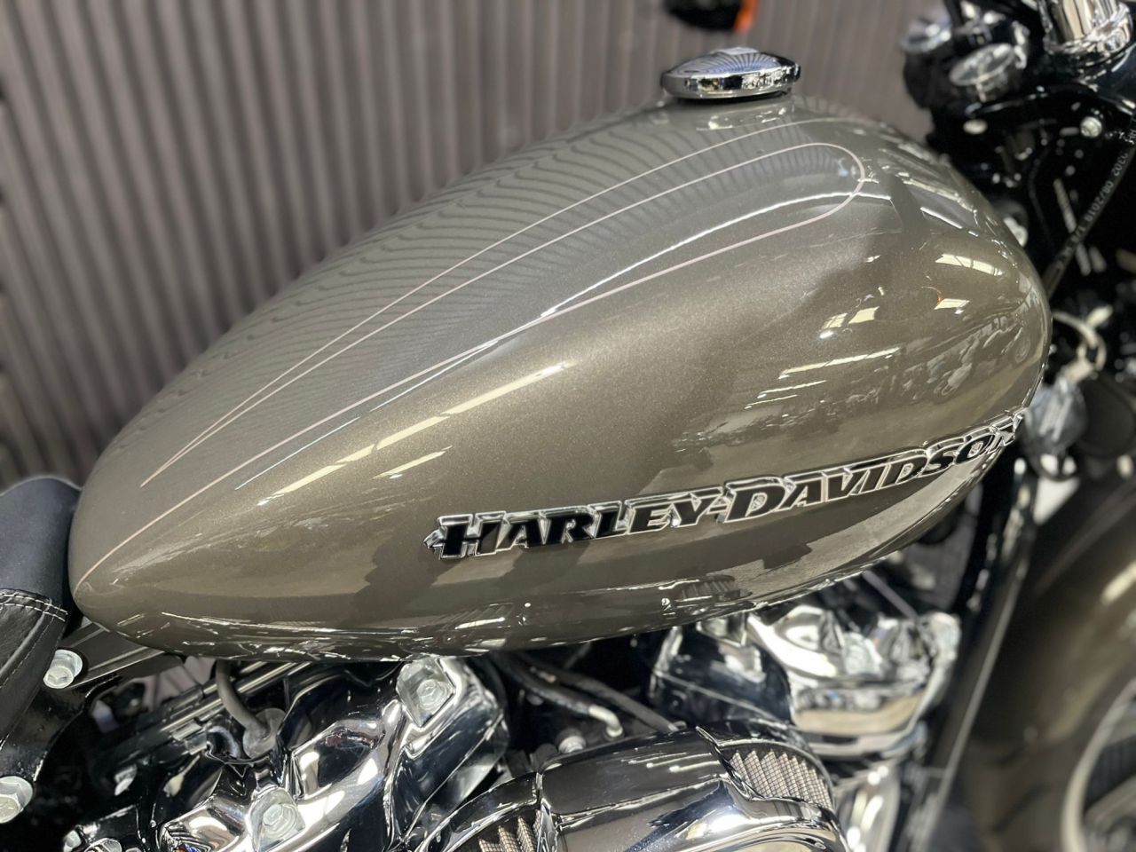 Used Harley-Davidson Softail for sale - 78640137: Photo 16