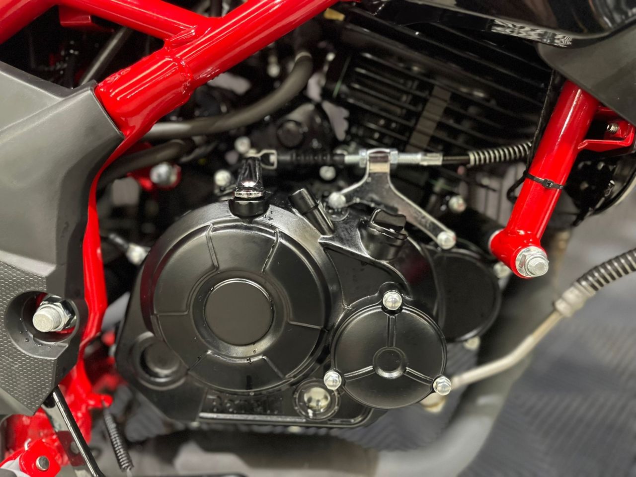 Used Benelli BN for sale - 78640140: Photo 15