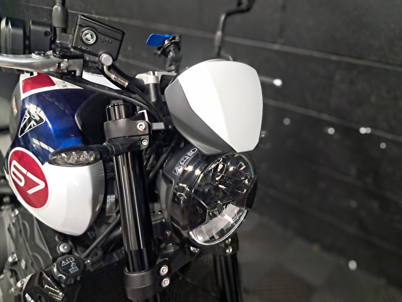 Used Triumph Trident for sale - 78434801: Photo 21