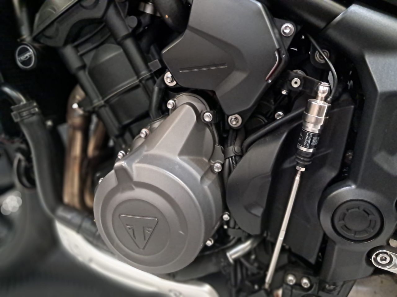 Used Triumph Trident for sale - 78434801: Photo 22