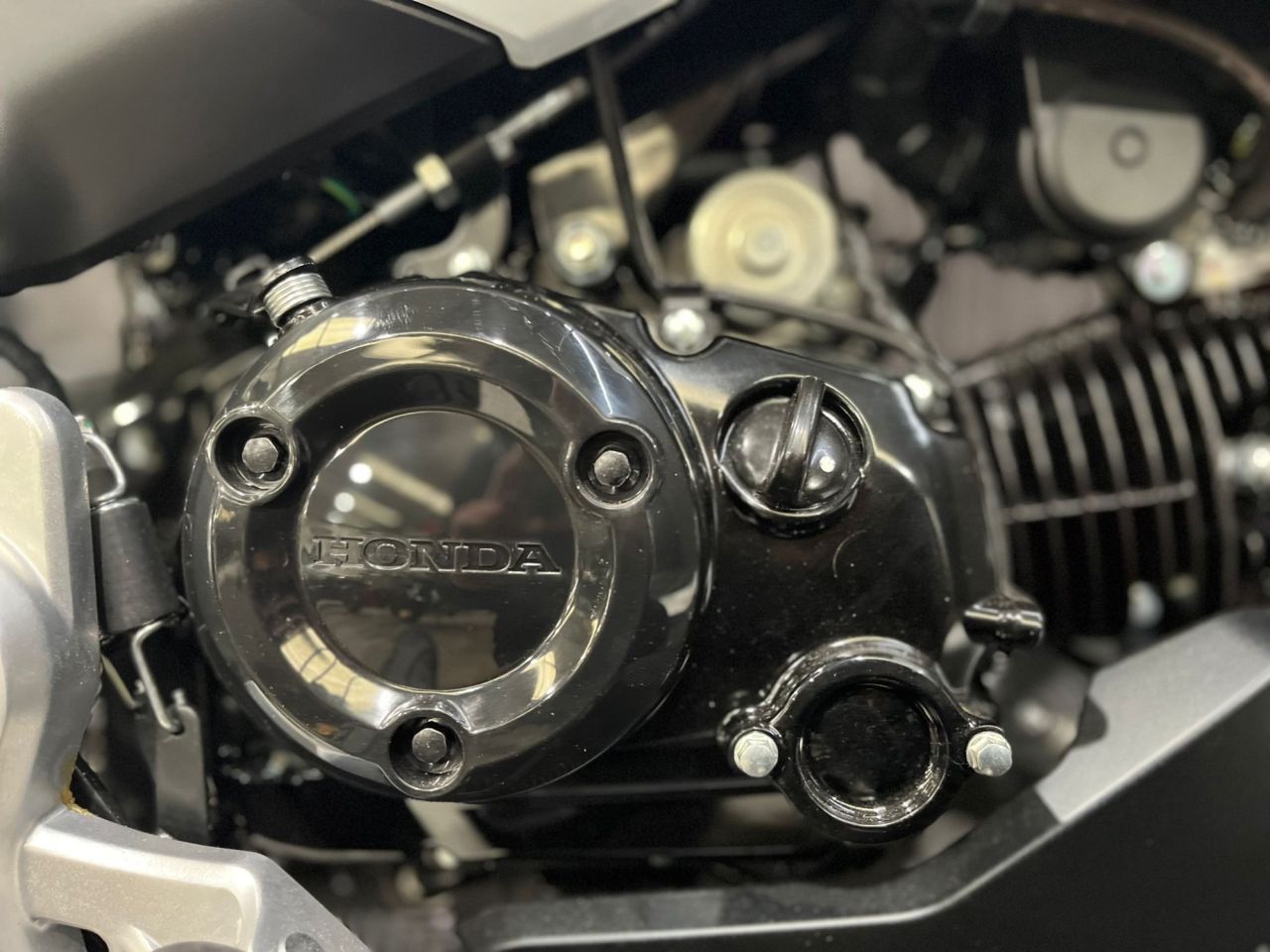 Used Honda MSX125 for sale - 78435315: Photo 14
