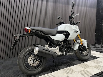 Used Honda MSX125 undefined for sale - bike-78435315: Photo