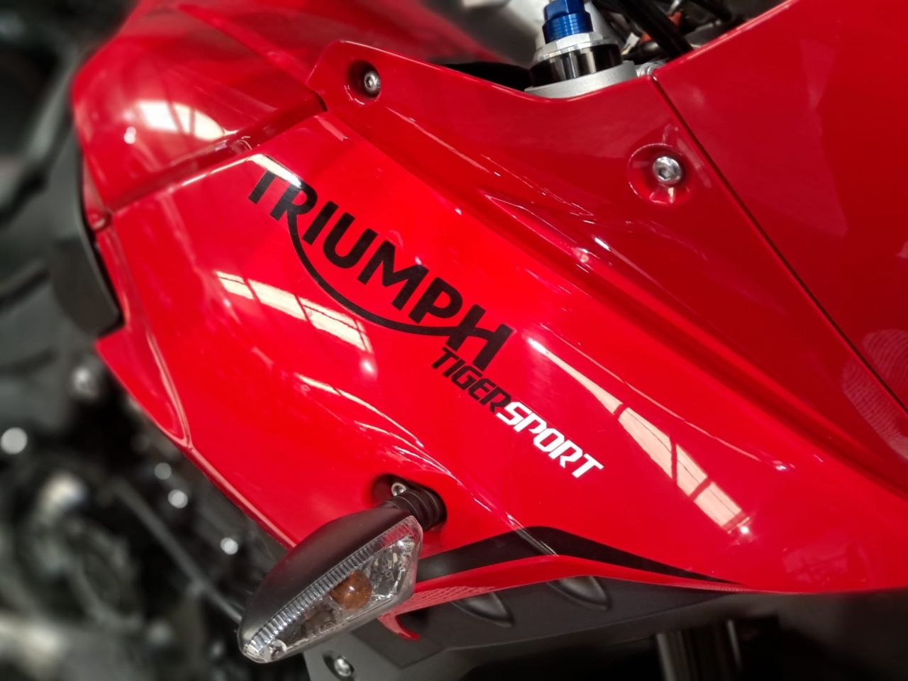 Used Triumph Tiger 1050 for sale - 78435379: Photo 20