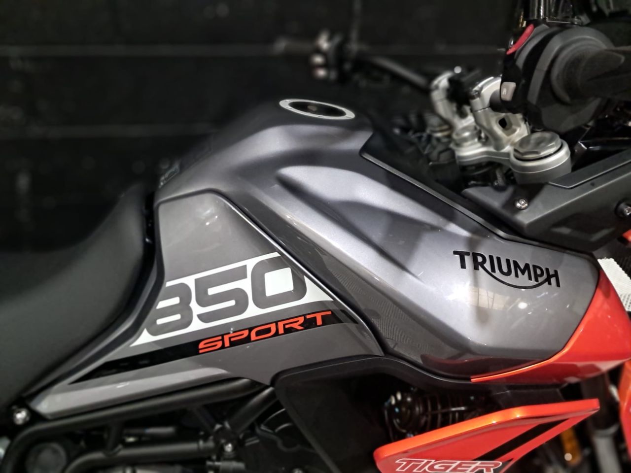 Used Triumph Tiger 850 for sale - 78435615: Photo 13