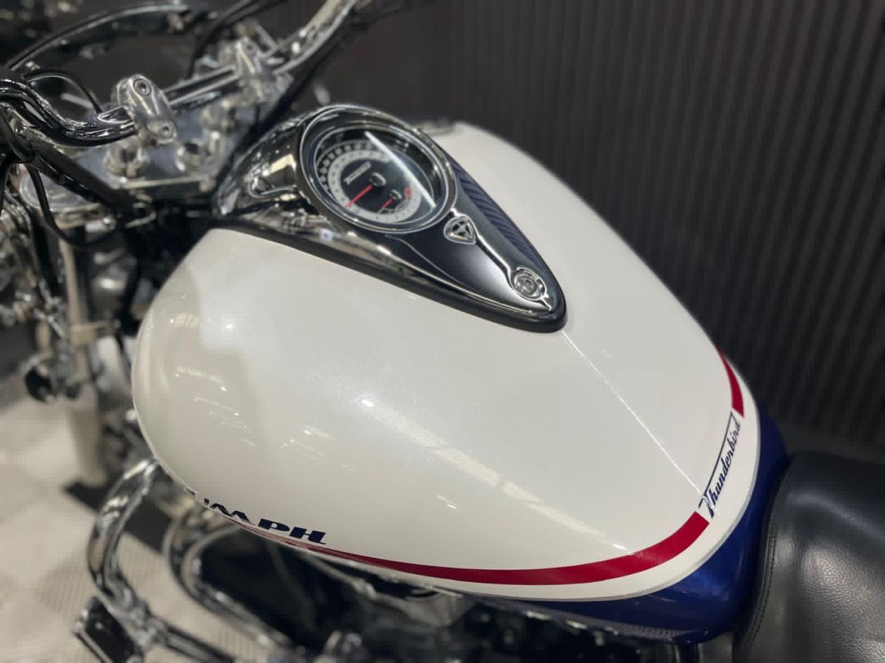 Used Triumph Thunderbird 1600 for sale - 78862653: Photo 26