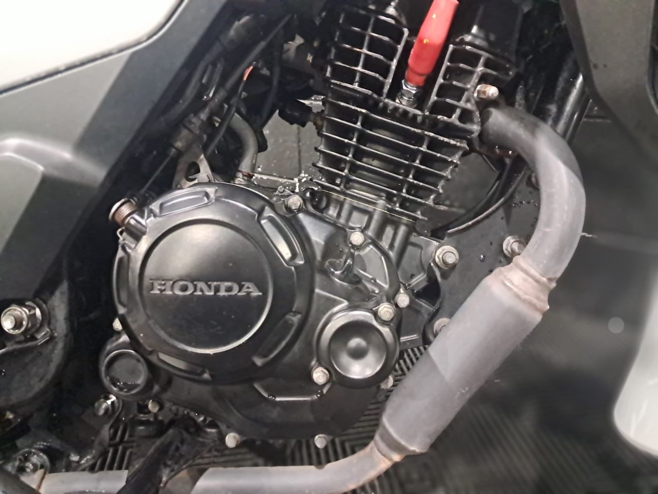 Used Honda CBF125 for sale - 78434817: Photo 14